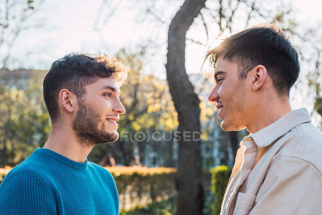 Vista lateral de casal homossexual encantado de homens olhando uns para os outros no parque — Fotografia de Stock
