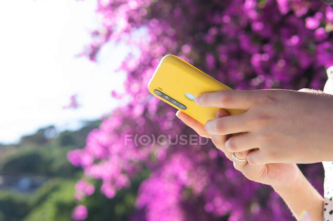 Vista de la cosecha de las manos de la mujer anónima usando el teléfono un día soleado de verano en el parque - foto de stock