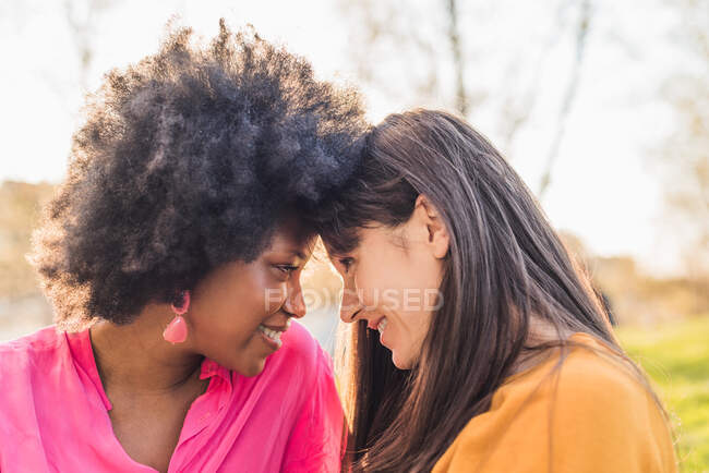 Couple multiethnique de femmes homosexuelles touchant le front tout en souriant et en se regardant par une journée ensoleillée dans le parc — Photo de stock