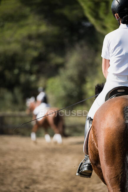Back view of crop unrecognizable female equestrian riding chestnut horse on sandy paddock during training in equine club — Stock Photo