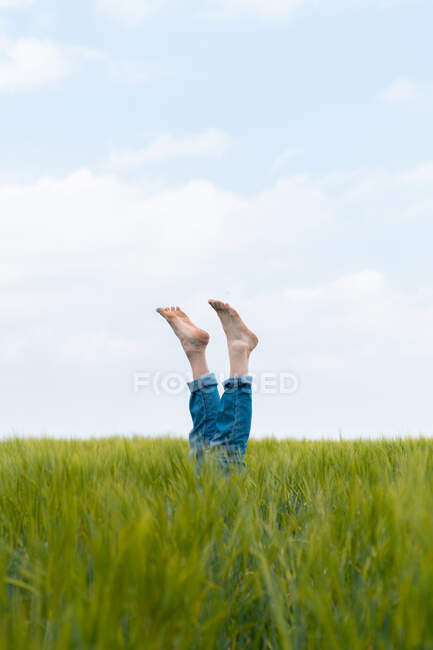 Persona anonima in jeans attaccare piedi nudi di erba verde sul campo di campagna in estate — Foto stock