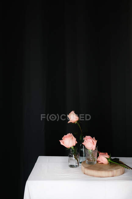Rosa rosas dentro vasos de vidro colocados na mesa contra fundo preto — Fotografia de Stock
