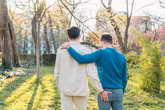 Зворотній вигляд люблячої ЛГБТ пари чоловіків, що обіймаються в парку в сонячний день — стокове фото