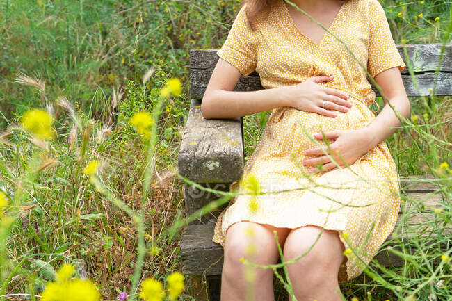 Cosecha anónima embarazada en vestido de verano tocando la barriga sentado en el banco en el campo en verano - foto de stock