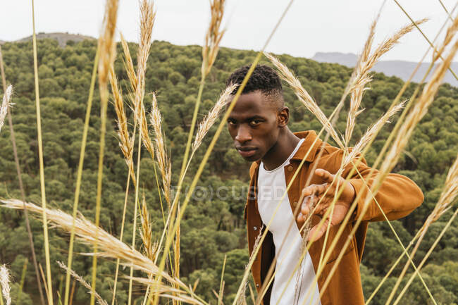 Bello afroamericano maschio in piedi in campo asciutto in estate e guardando la fotocamera — Foto stock