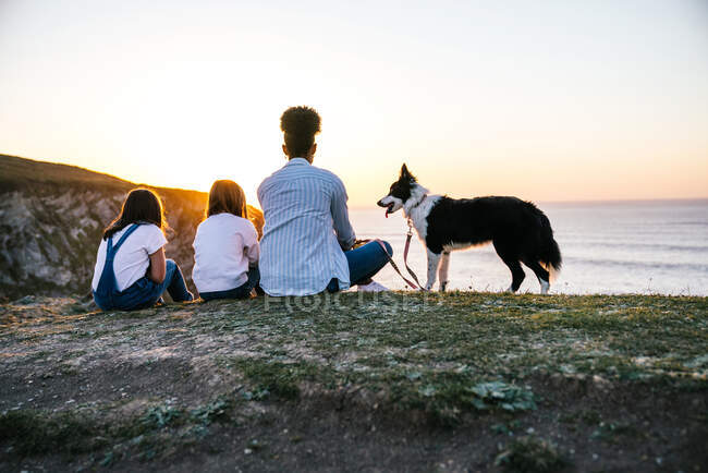 Вид ззаду на невідому матір з дітьми та собаку Бордер Коллі, яка сидить на березі моря та захоплюється захоплюючим заходом сонця, проводячи вечір разом на пляжі — стокове фото