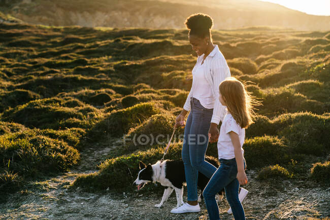 Vista lateral de cuerpo completo de la feliz mujer multiétnica y la niña con el perro Border Collie caminando juntos por el sendero entre colinas cubiertas de hierba en la soleada noche de primavera - foto de stock