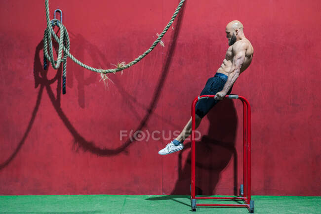 Боковой вид босоногого мужчины, делающего упражнения на брусьях о красную стену во время тренировки в тренажерном зале — стоковое фото