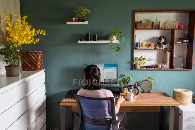 Vista lateral da mulher asiática freelancer lendo documentos no monitor do computador enquanto se senta à mesa durante o trabalho remoto — Fotografia de Stock
