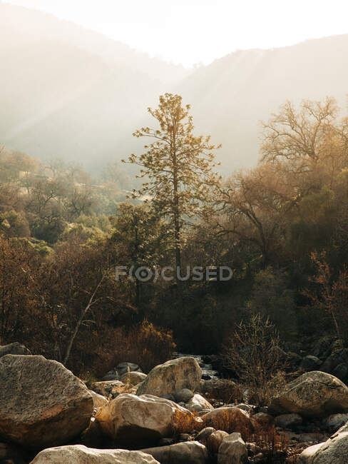 Malerische Landschaft mit schnellem Bach, der zwischen Felsbrocken gegen nebliges, bewaldetes Hochland im Sequoia National Park in den USA fließt — Stockfoto