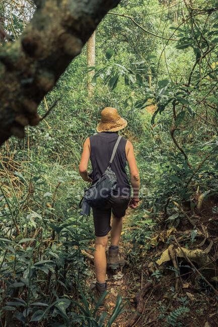 Back view of unrecognizable male traveler walking in misty exotic woods in summer during vacation — Stock Photo