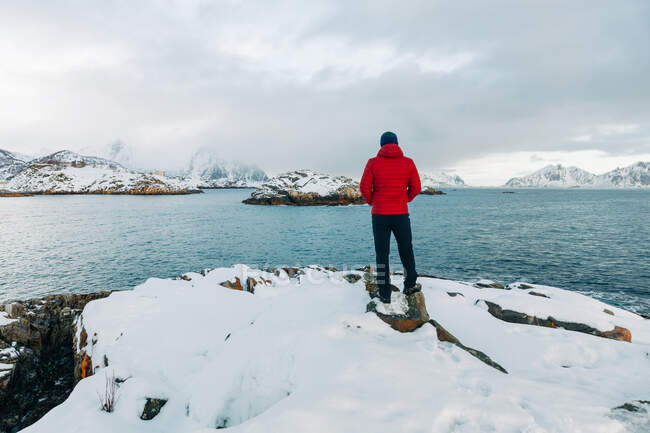 Вид сзади анонимного человека в верхней одежде, стоящего на снежной скале и любующегося волнистым морем и облачным небом в зимний день на Лофотенских островах, Норвегия — стоковое фото