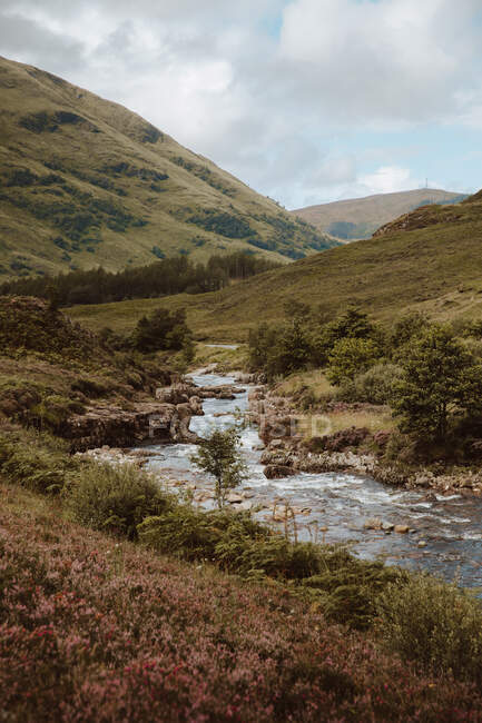 Vista pitoresca da água borbulhante com rochas e samambaias no vale de Glencoe, no Reino Unido, no verão — Fotografia de Stock