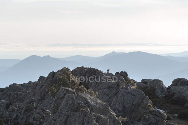 Mit Moos und Büschen bewachsene grobe Steine, die sich frühmorgens auf einem Berg im Sierra de Guadarrama Nationalpark in Madrid, Spanien, befinden — Stockfoto