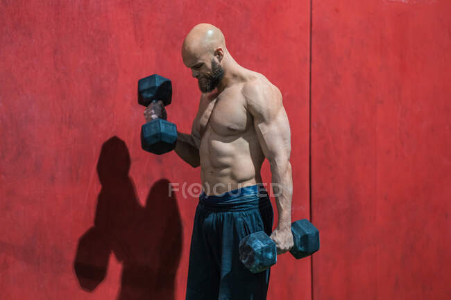 Vista lateral de un atleta barbudo fuerte mirando hacia otro lado con pesadas pesas caminando en el gimnasio moderno durante el entrenamiento de levantamiento de pesas - foto de stock