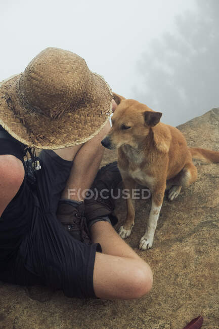 Обрізаний невпізнаваний дослідник чоловічої статі сидить на скелі в високогір'ї і пестить милого безпритульного собаку проти туманного неба — стокове фото