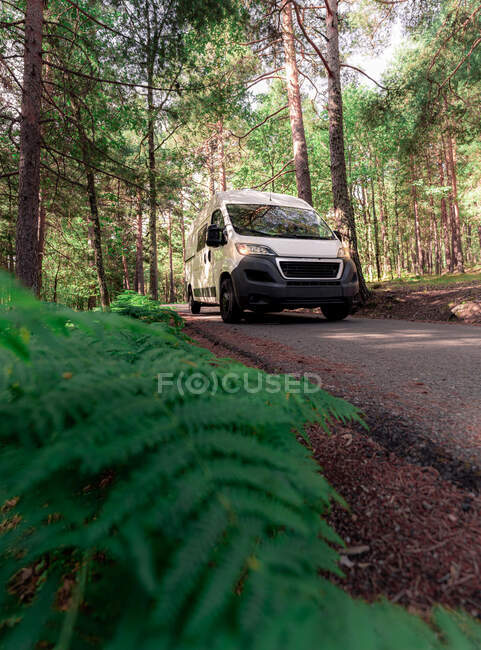 Low angle of traveling camper parked on asphalt road in woods on sunny day in summer — Stock Photo