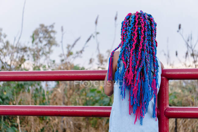 Back view of anonymous Mexican kid with colorful braids admiring trees while leaning on fence — Stock Photo
