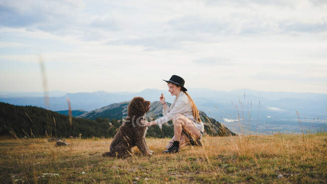 Vista lateral do proprietário do sexo feminino com treinamento de alimentos cão Labradoodle obediente sentado nas montanhas — Fotografia de Stock