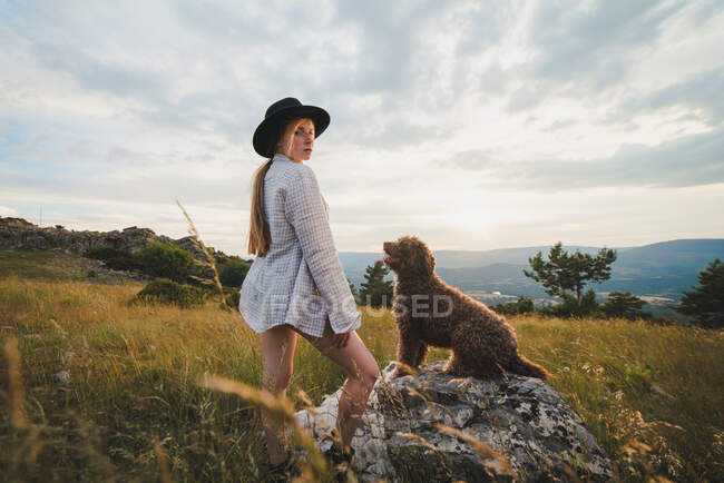 Vista lateral do proprietário feminino com cão Labradoodle obediente sentado na rocha em montanhas olhando para a câmera — Fotografia de Stock