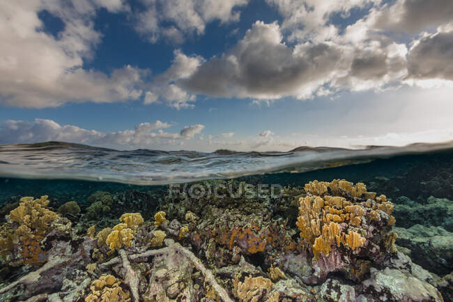Облачно заходящее небо над чистой водой и красочный коралловый риф в море — стоковое фото