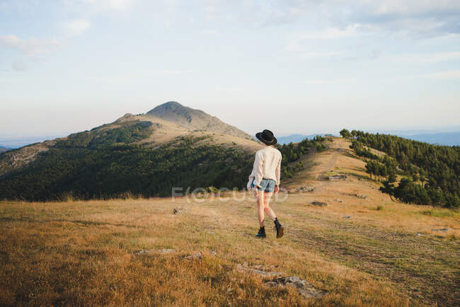 Обратный вид на неузнаваемую женщину, идущую по травянистому лугу в горах летом — стоковое фото
