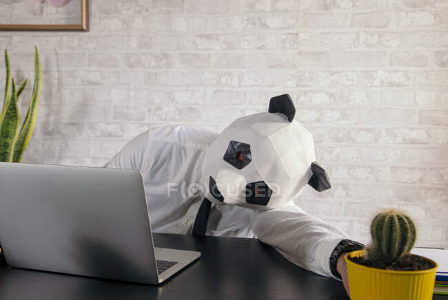 Anonymous exhausted male executive in panda bear mask leaning on desk with netbook and cactus at work in office — Stock Photo