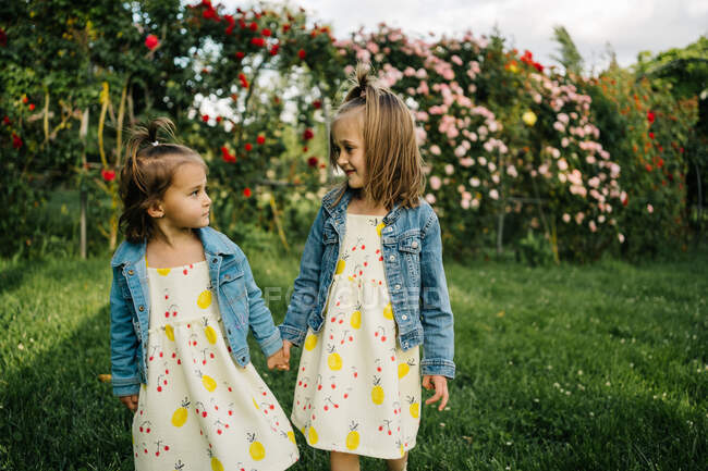 Симпатичні маленькі дівчата в сукні і джинсовій куртці стоять на зеленій траві проти квітучого куща з червоними квітами в літньому парку, тримаючись за руки — стокове фото