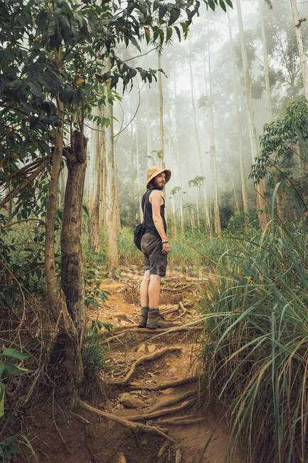 Vista lateral del viajero masculino de pie en bosques exóticos brumosos en verano durante las vacaciones - foto de stock