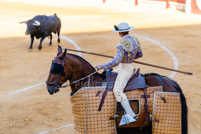Picador irreconocible con lanza montando a caballo y realizando en plaza de toros con toro enojado durante corrida - foto de stock