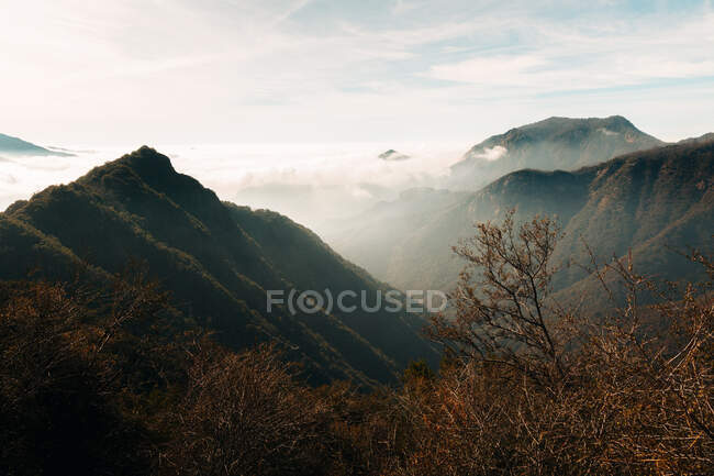 Splendida vista sul Parco Nazionale della Sequoia — Foto stock