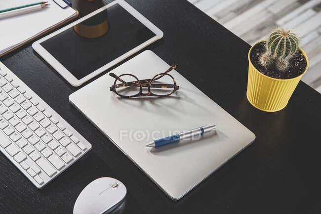 Зверху нетбук з окулярами і ручкою між скошеним кактусом і мишкою на столі в робочому просторі — стокове фото