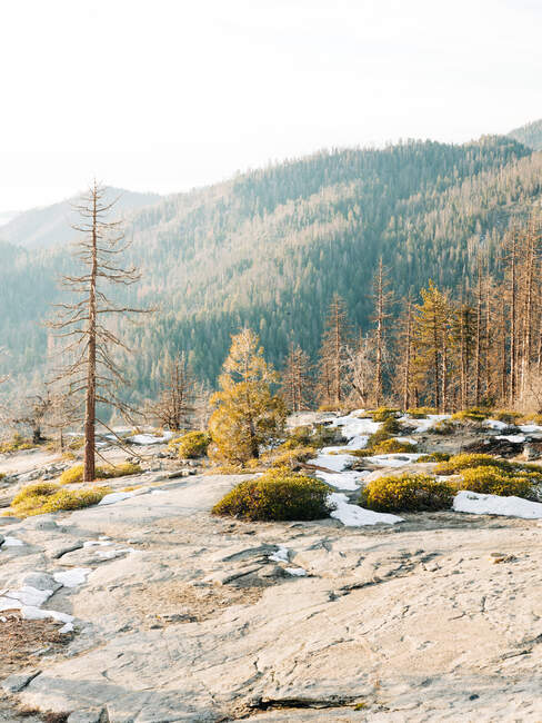 Pintoresco paisaje de terreno rocoso nevado con altos árboles desnudos contra las tierras altas brumosas en el horizonte en el Parque Nacional Sequoia durante el atardecer en clima frío y soleado - foto de stock