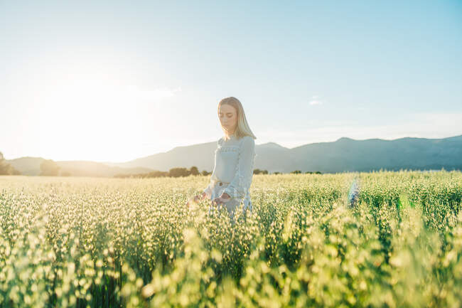 Блондинка задумчивая женщина в светлом белом платье, стоящая в высокой цветущей траве в поле против заката — стоковое фото