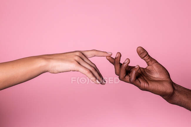 Vista superior de las manos multiétnicas de la mujer blanca y el hombre negro tocándose suavemente aislados sobre fondo rosa; concepto de unidad e inclusión - foto de stock