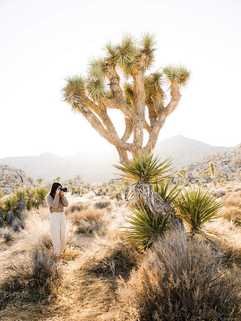 Fotógrafo feminino com câmera em pé na terra do deserto do parque nacional contra a árvore verde Joshua na Califórnia EUA — Fotografia de Stock