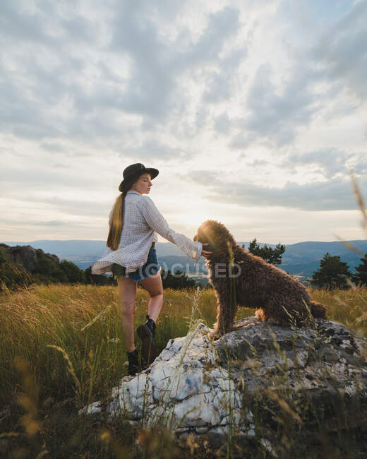 Vista lateral do proprietário feminino com cão Labradoodle obediente sentado na rocha nas montanhas — Fotografia de Stock