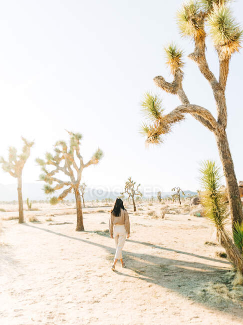 Fotógrafo feminino com câmera em pé na terra do deserto do parque nacional contra a árvore verde Joshua na Califórnia EUA — Fotografia de Stock