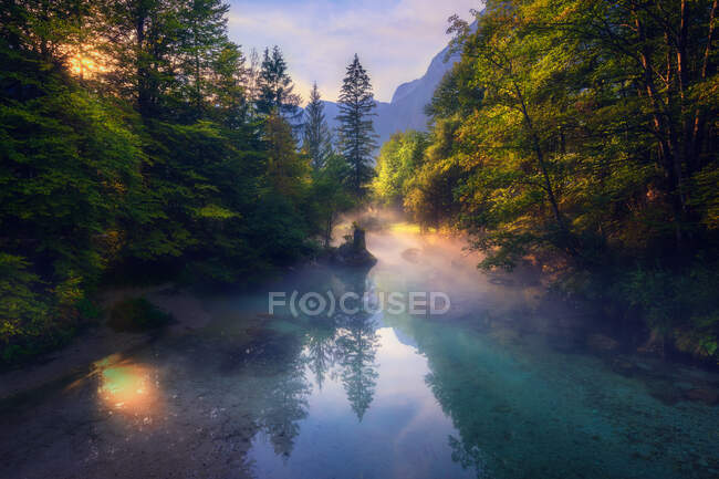 Splendido scenario di nebbia sul fiume calmo situato in boschi di montagna al mattino in Slovenia — Foto stock