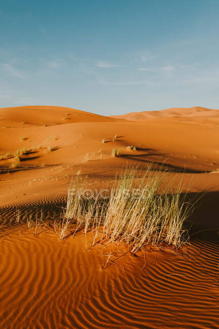 Ciel bleu nuageux sur désert aride avec des dunes de sable par une journée ensoleillée près de Marrakech, Maroc — Photo de stock