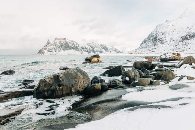 Холодная морская вода плескается на скалах возле ледяного и снежного побережья около гор в серый зимний день на Лофотенских островах, Норвегия — стоковое фото