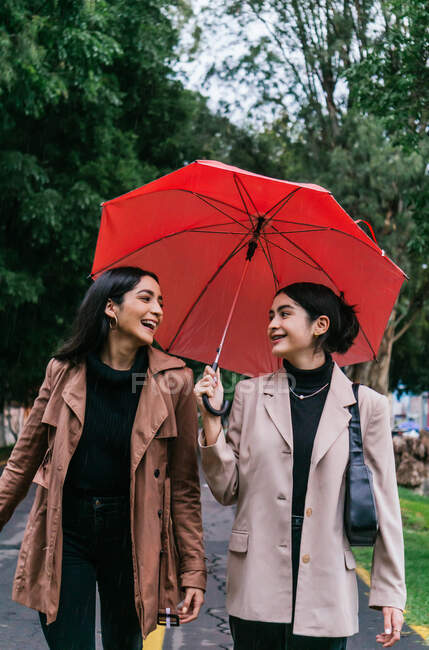 Mujeres étnicas felices sonriendo y hablando mientras caminan con paraguas en el parque en el día lluvioso - foto de stock