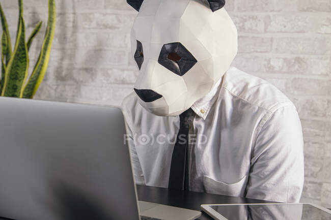 Anonymous male entrepreneur in panda bear mask and white shirt working at table with netbook in workspace — Stock Photo