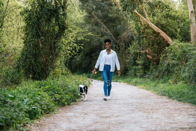 Corps complet de jeune propriétaire afro-américaine positive marchant avec un fidèle chien Border Collie en laisse sur le chemin parmi les arbres verts — Photo de stock