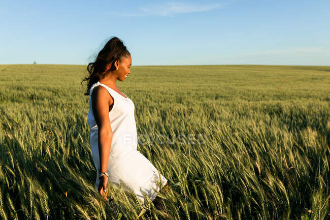 Sonriente joven dama negra en vestido de verano blanco paseando por el campo de trigo verde mientras mira hacia otro lado durante el día bajo el cielo azul - foto de stock