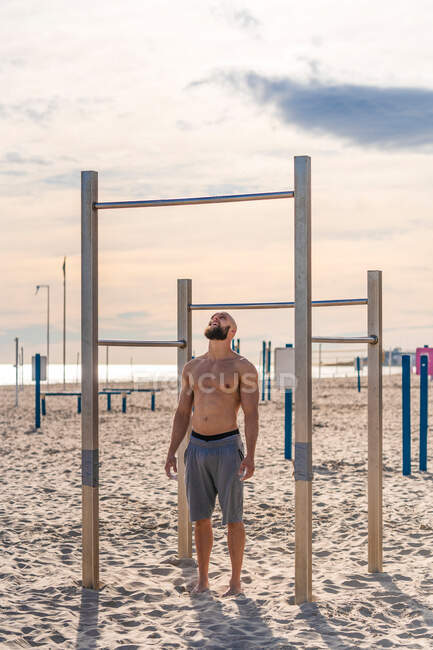 Hombre barbudo sin camisa preparándose para hacer músculo en la barbilla hasta el bar mientras se entrena en la playa soleada mirando hacia arriba - foto de stock