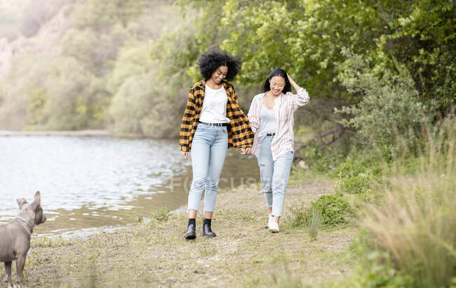 Content LBGT couple of multiracial females holding hands and walking with dog along lake in woods — Stock Photo