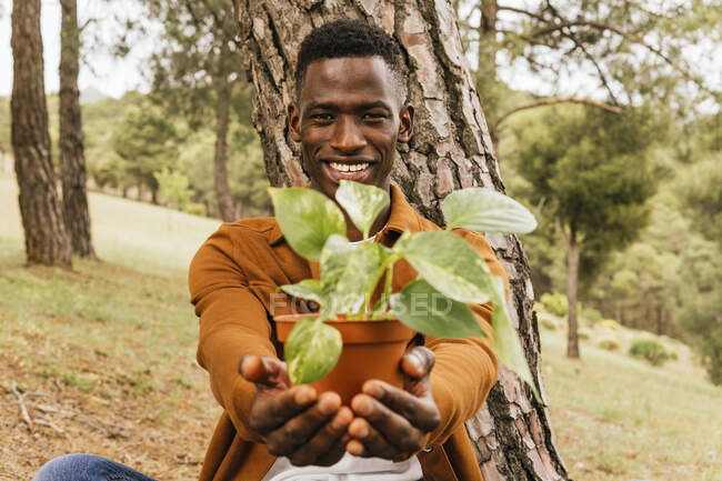 Deleitado jardinero masculino afroamericano mostrando planta verde Epipremnum en maceta en la cámara en la naturaleza - foto de stock