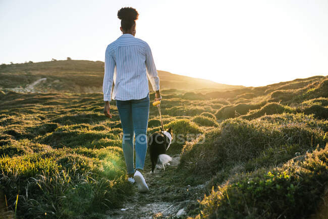 Full body back view of ethnic woman with Border Collie dog walking together on trail among grassy hills in sunny spring evening — Stock Photo