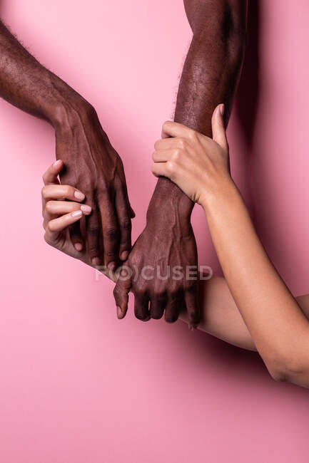 Des mains multi-ethniques de femmes blanches et d'hommes noirs se touchant doucement isolées sur fond rose ; concept d'unité et d'inclusion — Photo de stock